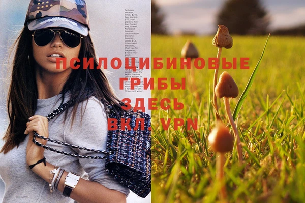 каннабис Балабаново